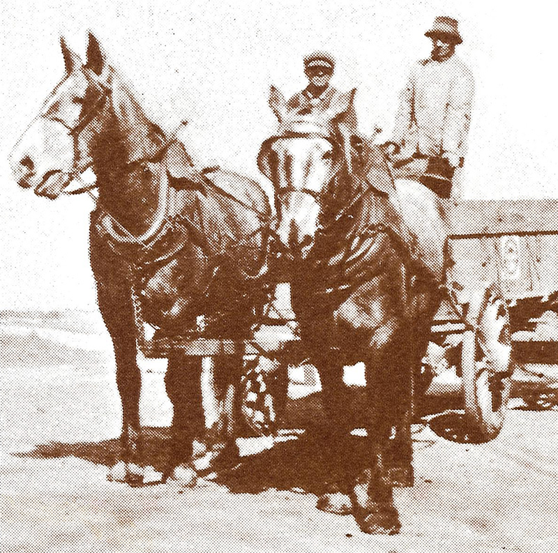 turn of the century horse drawn delivery cart